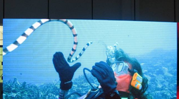 室內(nèi)全彩led顯示屏 室內(nèi)全彩led顯示屏